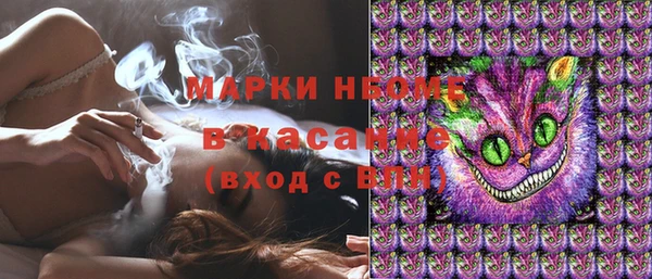 прущие грибы Новокубанск