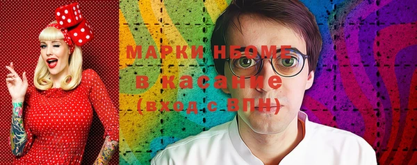 твердый Новозыбков