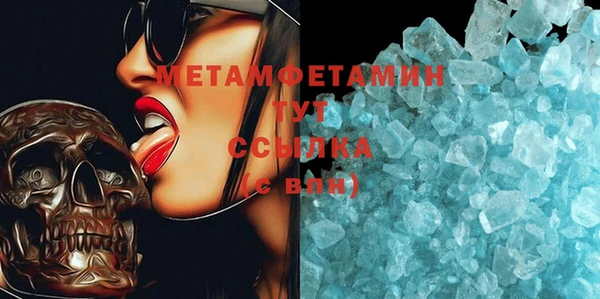 прущие грибы Новокубанск