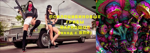 соль ск Нефтекумск