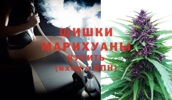 прущие грибы Новокубанск