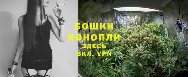 твердый Новозыбков