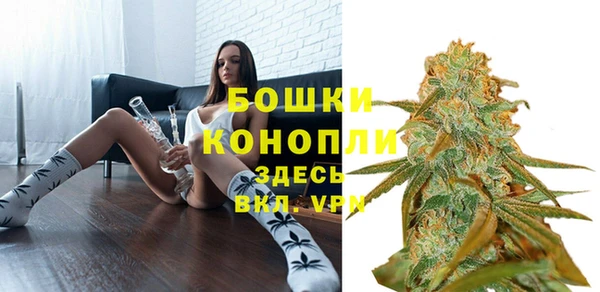 твердый Новозыбков