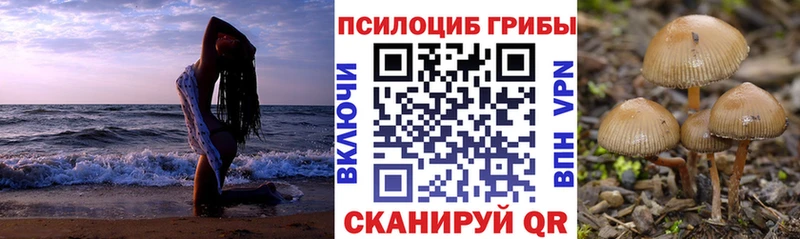 где купить наркотик Красноуфимск Псилоцибиновые грибы прущие грибы