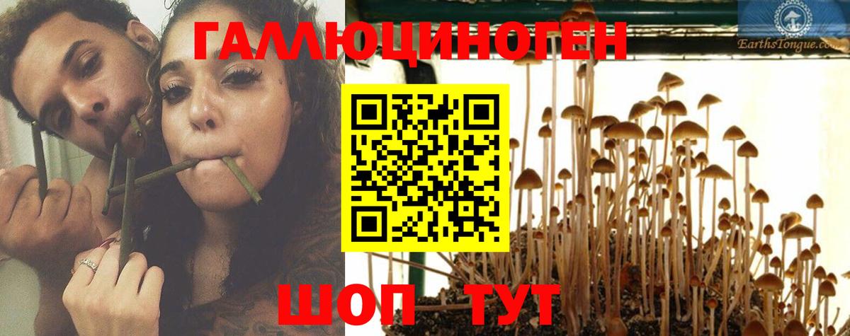 Галлюциногенные грибы MAGIC MUSHROOMS  Красноуфимск  Галлюциногенные грибы Cubensis 