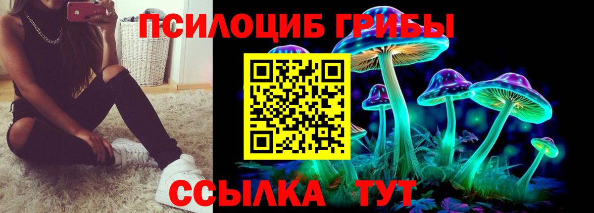 Галлюциногенные грибы Magic Shrooms  Галлюциногенные грибы прущие грибы  Вход с VPN  Красноуфимск 